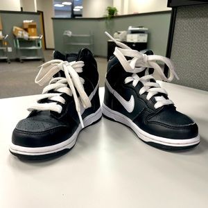 Little Kids Nike Dunk High
